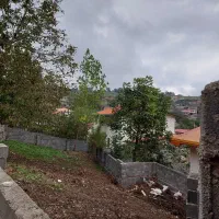 زمین داخل بافت، ۲۲۸ متر، زیراب، روستای کچید