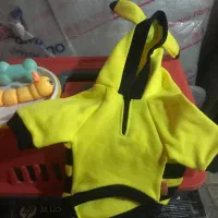 باکس ولباس واسباب بازی سگ آپارتمان|لوازم جانبی حیوانات|ورامین, ورامین|دیوار