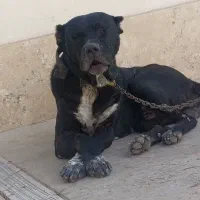 سرابی ۱سال ۲ماه