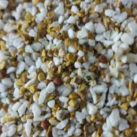 آکواریوم و لوازم تزیینی|ماهی|ایلام, |دیوار