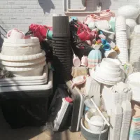 گلدان|گل و گیاه طبیعی|قم, کوه سفید|دیوار