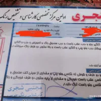 پراید|خودرو سواری و وانت|رباط‌کریم, نصیرشهر|دیوار