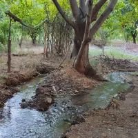 باغ  معاوضه وفروش|فروش خانه و ویلا|بیستون, |دیوار