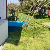 یک خوابه، تمیز و زیبا|اجارهٔ کوتاهمدت آپارتمان و سوئیت|تنکابن, |دیوار