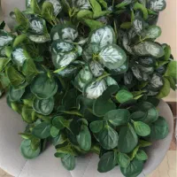 گل مصنوعی|گل مصنوعی|تهران, شهرک آزادی|دیوار