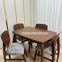 مدل گوش فیلی