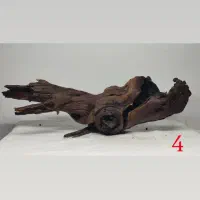 دریفت وود|ماهی|تهران, منیریه|دیوار