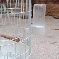 قفس بزرگ پرنده