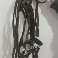 لوازم نگهداری اسب