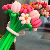 گل بادکنکی