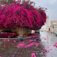 آپارتمان-دوخوابه-تمیز