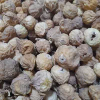 انجیر درجه یک