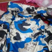 پافر|لباس|رشت, پاره بیجار|دیوار