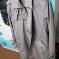 پالتوزنانه