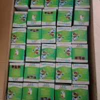 لامپ دفنی ۳ وات