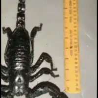 آموزش با ما درآمد از شما