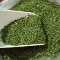 راهنمایی کنید لطفاً خ