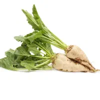 چقندر بومی پا کار خالی میکنم کیلو ۶ تومن