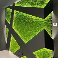 طراحی و اجرای ماس وال (دیوار سبز خزه‌ای)|گل و گیاه طبیعی|تهران, جماران (نیاوران)|دیوار