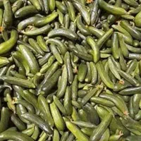 خیار سبز باغ ابیاری با چشمه ارگانیک