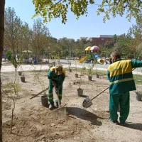 جذب نیرو کار جهت کار در فضای سبز|خدمات باغبانی و درختکاری|قدس, شهر‌قدس|دیوار