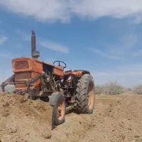 فروش رومانی