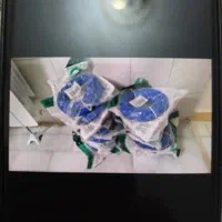 ۱۳ عددکابل شبکه صفر پلمپ ۲۰ متری .کابل ساتا