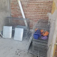 قفس جفت کن کبوتر