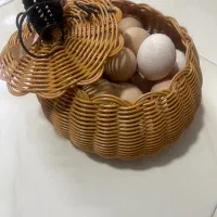 تخم مرغ محلی ارگانیک اصل|خوردنی و آشامیدنی|تهران, گلستان (شهرک راه آهن)|دیوار