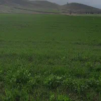 نیازمند نیروی خانم و آقا
