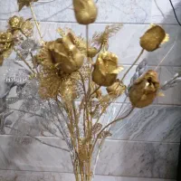 گل اکلیلی تزئینی
