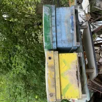 کندو زنبور عسل