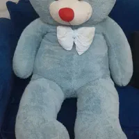 شاسخین