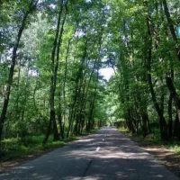 فروش زمین کاملا مسکونی کاسبی جاده آستانه به کیاشهر