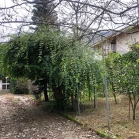 باغ ۱۰۵۰ متری باویلای دو طبقه با دید کوه و دریا|فروش خانه و ویلا|رامسر, |دیوار