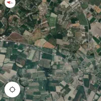 زمین زراعی اجاره 15 تناب