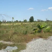 ۳۵۰ متر زمین همراه با کلبه سوئسی