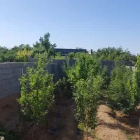 خونه-باغ-300-متری