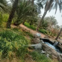 زمین کشاورزی