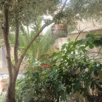 منزل-ویلایی-221-متری-سنددار-خ-میثم