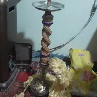 قیلون میوه ای|کلکسیون و سرگرمی|فولادشهر, A4|دیوار