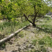 750متر-باغ-4دیواری-رضوان-لم-ایاد