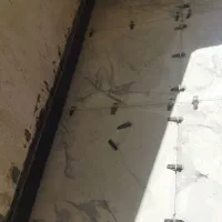 کاشیکاری و سرامیک|خدمات پیشه و مهارت|آباده, |دیوار