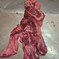 گوشت صورت کله گوساله
