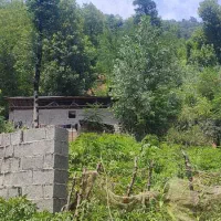 ۵۷۰متر با پروانه ساخت ۱۰۰ متری جنگلی ویو ابدی|فروش زمین و ملک کلنگی|گوراب زرمیخ, |دیوار