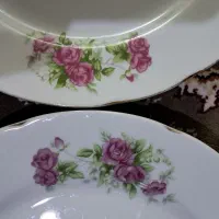 میوه خوری استکان پارچ چینی گلسرخی سرو پذیرای یخدان|ظروف سرو و پذیرایی|اندیشه, اندیشه فاز ۱|دیوار