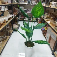 گلدان کنار سالنی|صنایع دستی و سایر لوازم تزئینی|قم, نیروگاه|دیوار