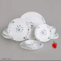 ظرف غذا خوری