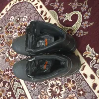 کفش کار|کیف، کفش، کمربند|بیرجند, |دیوار