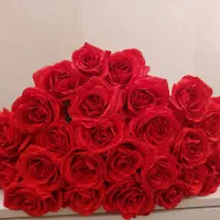 شاخه گل رز مصنوعی (بسته۱۰ عددی نقد و اقساط )|گل مصنوعی|بندرعباس, |دیوار